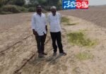 Illegal Sand Mining Allegations in Pothugallu