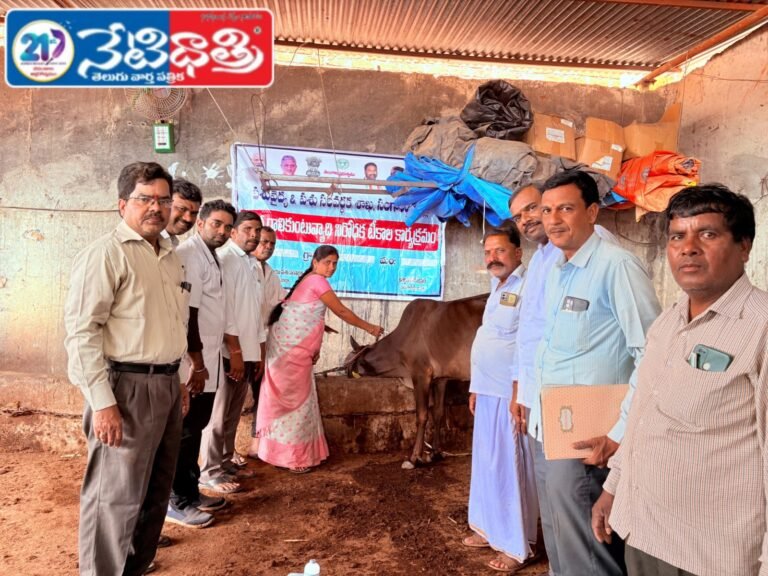 FMD Vaccination Drive Held in Jharasangam Village