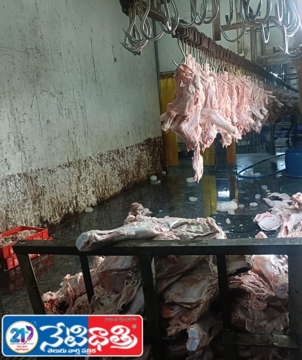 Illegal Slaughterhouse Allegations in Nyalkal