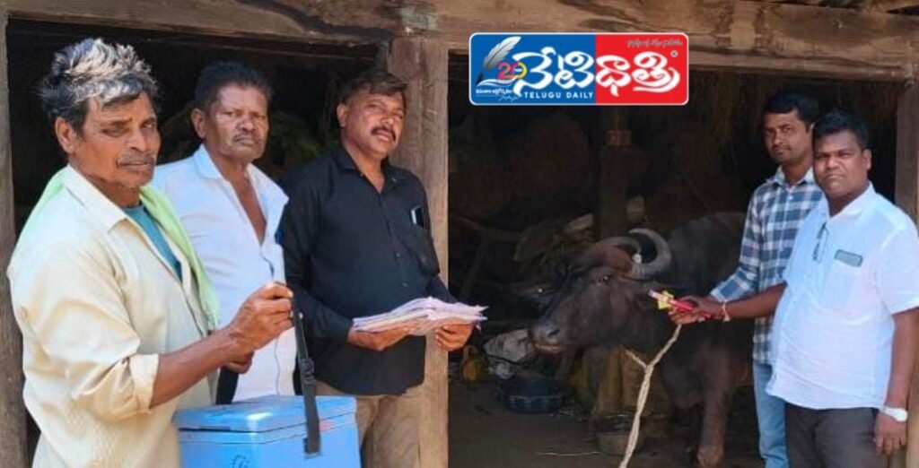 Free Vaccination Drive for Cattle in Gundampalli
