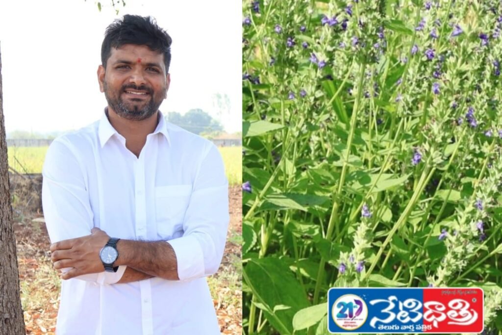 Zaheerabad Farmer Succeeds in Chia Seed Cultivation