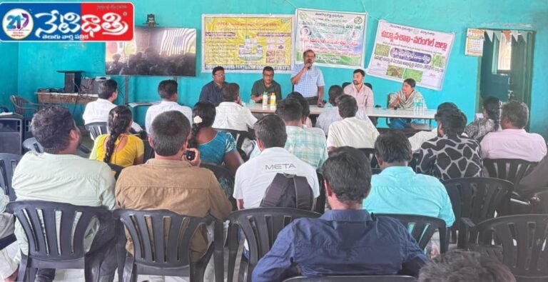 Natural Farming Boosts Soil Fertility