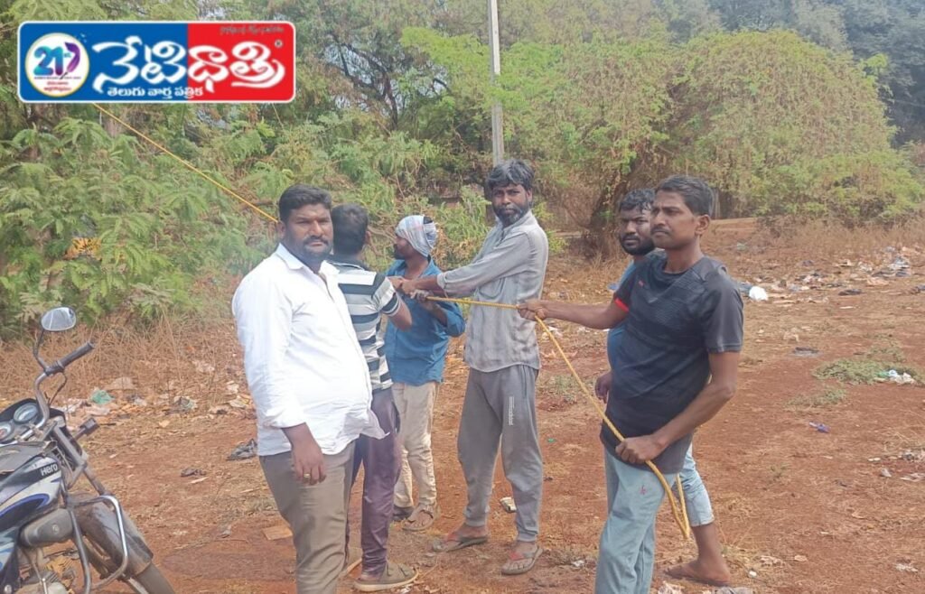 WhatsApp Image 2026-03-16 at 4.56.29 PM