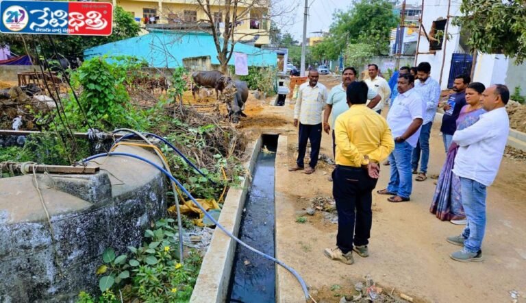 Narsampet Town Sanitation Drive
