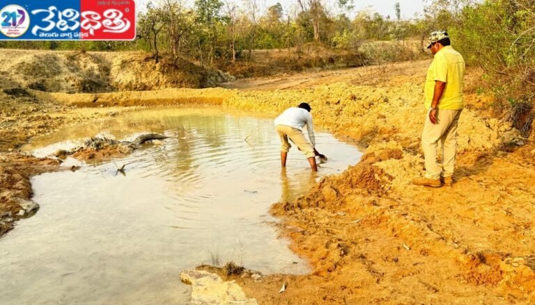 Water Facility for Wild Animals