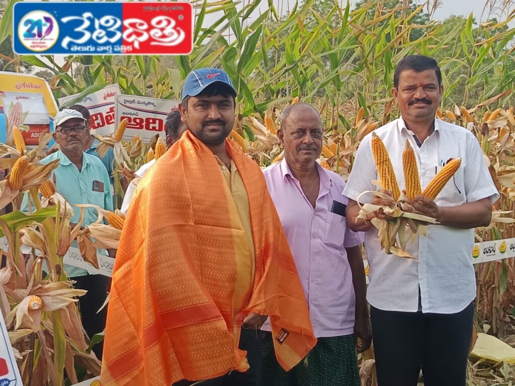 Ankur Aditya Maize Demo Held
