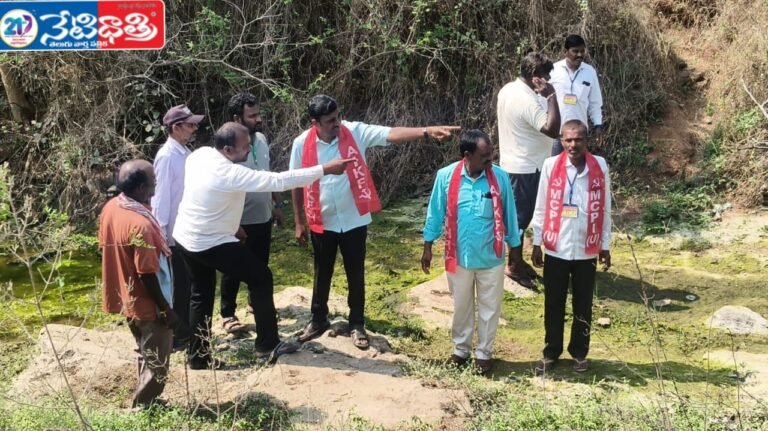 Crops Dry Up Over Irrigation Failure