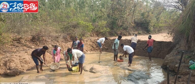 Water Conservation Efforts in Forest Area