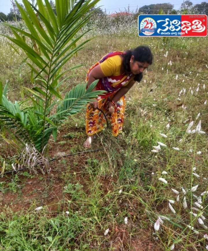 From Soil to Soul: Manjula’s Journey