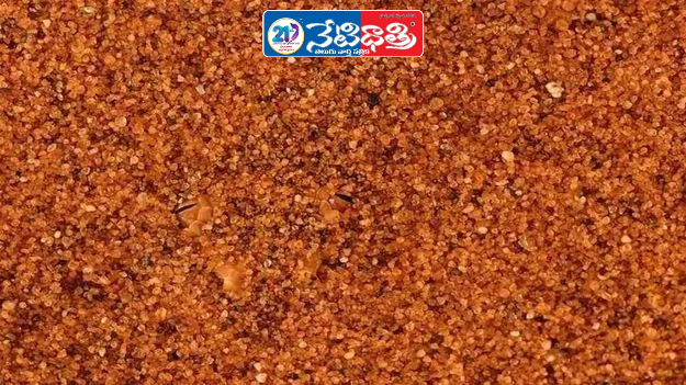 Find the Hidden Snake Puzzle