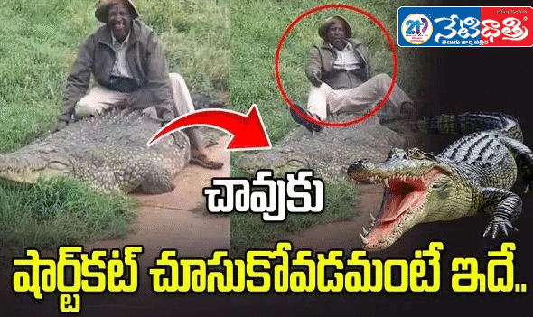 Man Sits on Crocodile, Shocking Viral Video