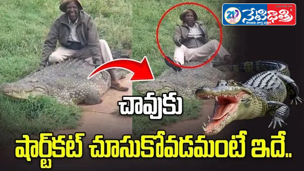 Man Sits on Crocodile, Shocking Viral Video