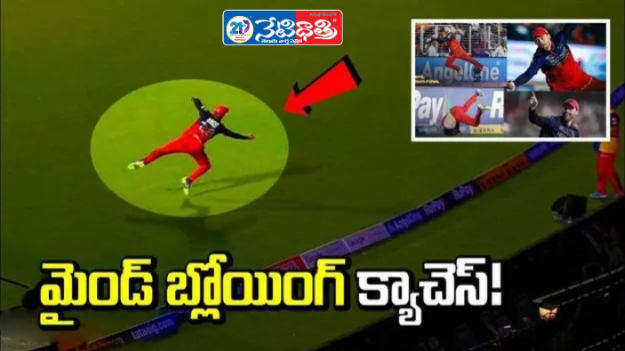 Phil Salt’s Stunning Catches Steal the Show in IPL 2026