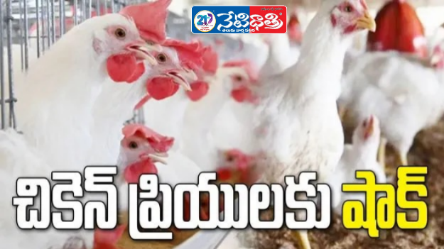 Chicken Shops Shut from April 1 in Telangana