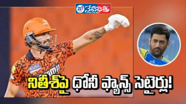 Dhoni Fans Troll Nitish After IPL Failure