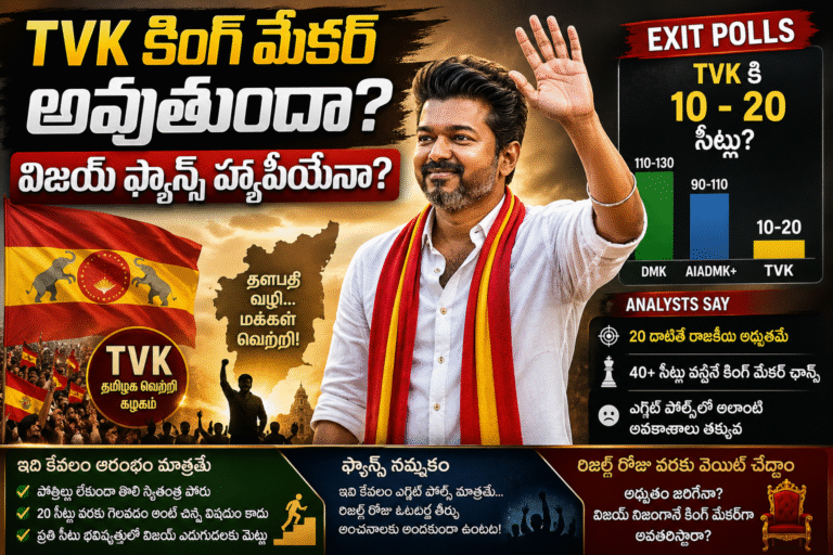 Can Vijay Become a Kingmaker in Tamil Nadu?