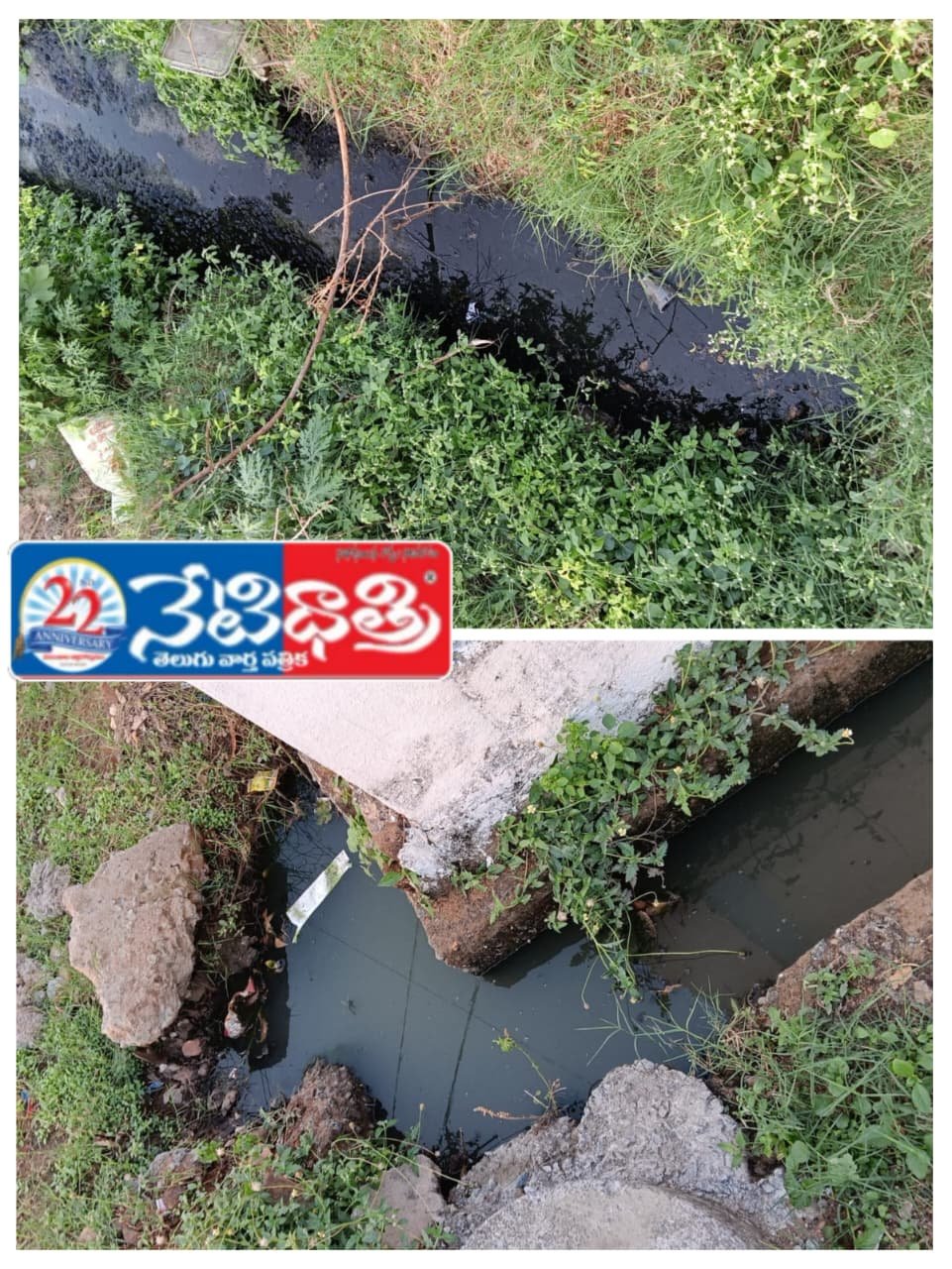 Drainage Issue in Mancherial