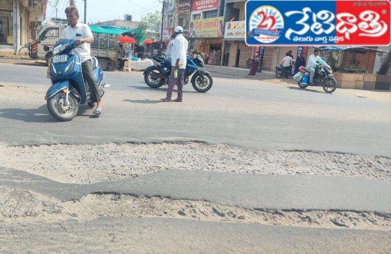 Potholes Trouble Parkal Roads
