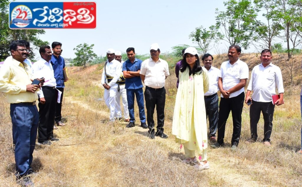 Collector Inspects Site for Substation