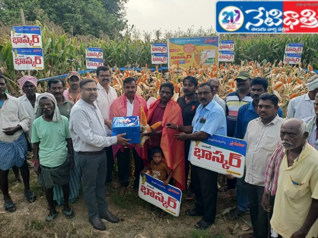 Bhaskar Maize Demo Impresses Farmers