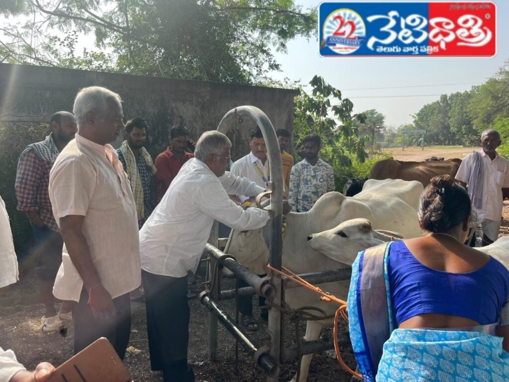 Veterinary Camp Held in Ramachandrapuram