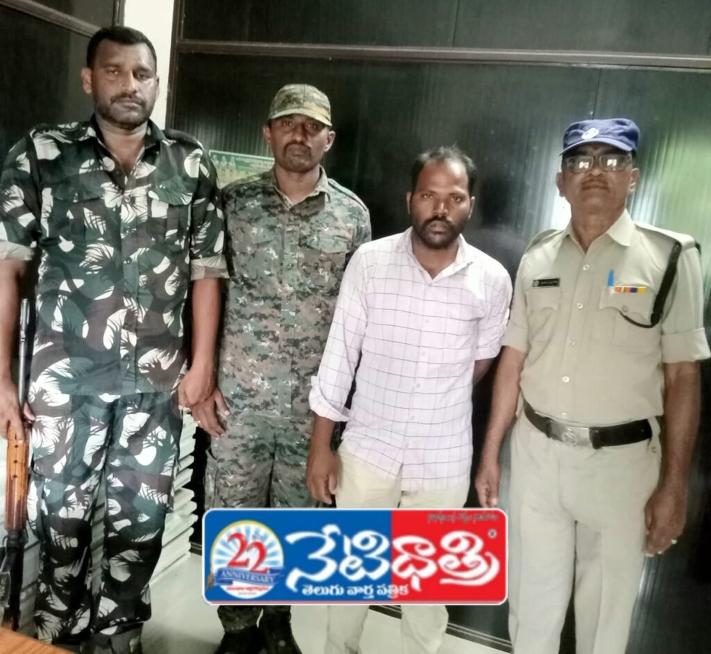 5-Year Jail for Red Sandalwood Smuggler in Tirupati