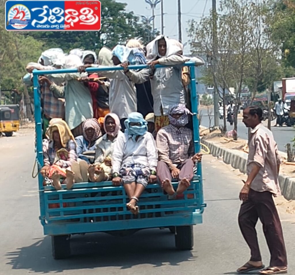 Overloaded Autos Endanger Farm Workers