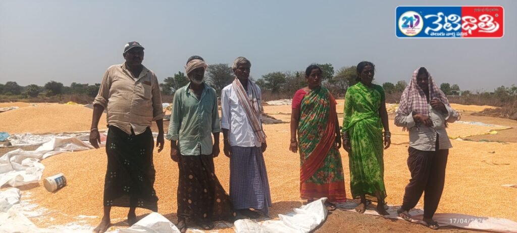 Maize Farmers in Distress