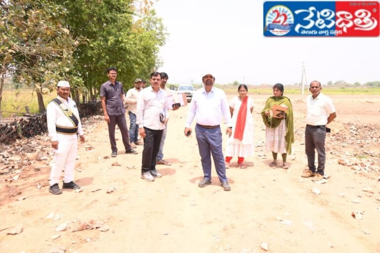 Collector Orders Land Verification