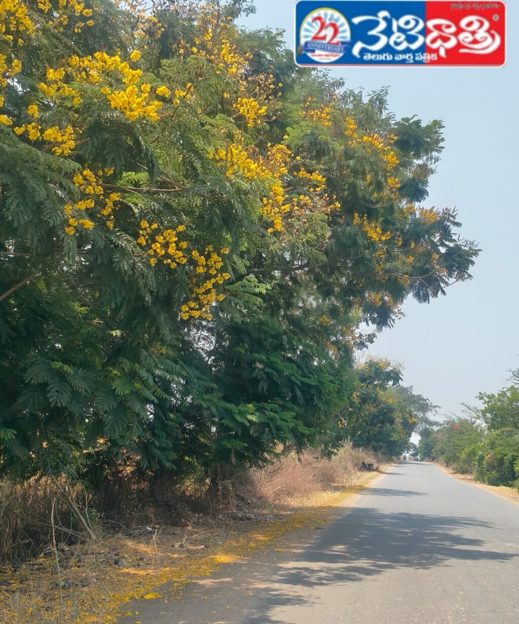 Nature Blooms with Fresh Greenery