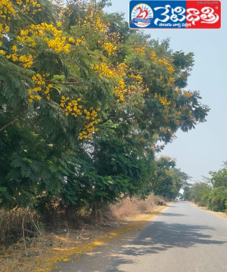 Nature Blooms with Fresh Greenery