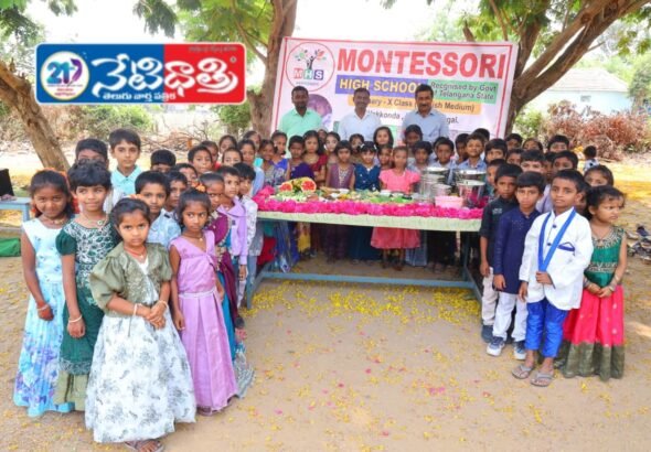 Food Festival at Montessori School