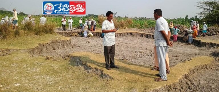 Utilize Employment Guarantee Works: Sarpanch