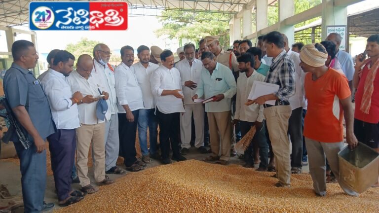 MLA Inspects Maize Procurement Center in Kesamudram