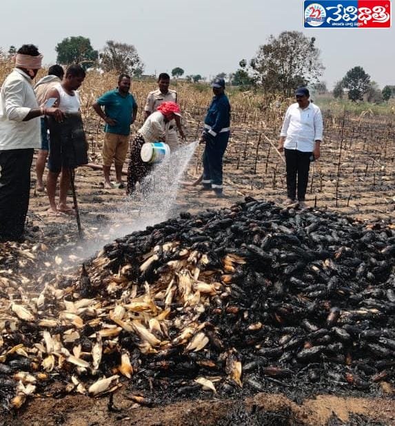 Fire Destroys 6 Acres of Maize Crop