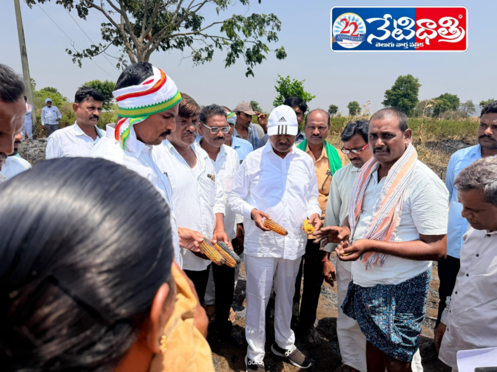 Crop Fire Loss: Govt Assures Help