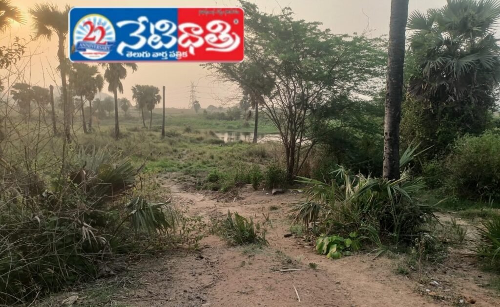 Villagers Await Long-Pending Bridge Construction