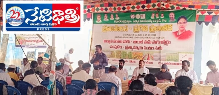Subsidy Push for Oil Palm Farming in Telangana