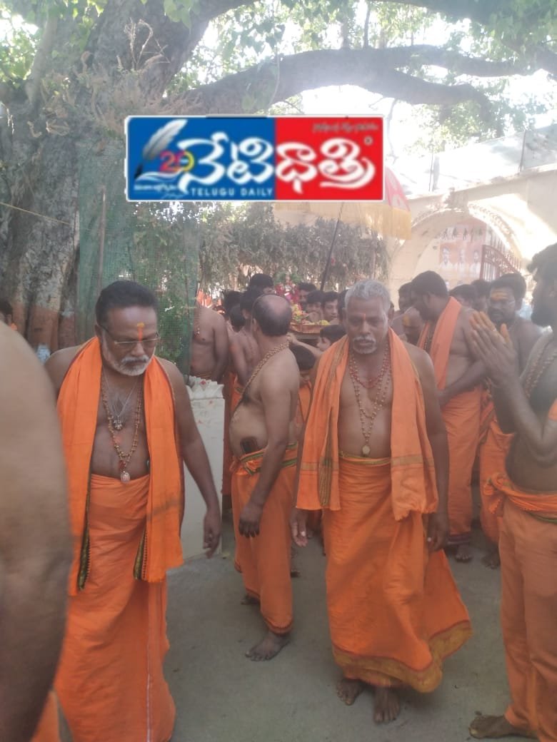 Hanuman Pallaki Seva