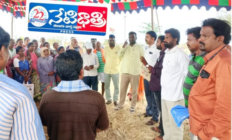 WhatsApp Image 2026-05-14 at 3.10.14 PM
