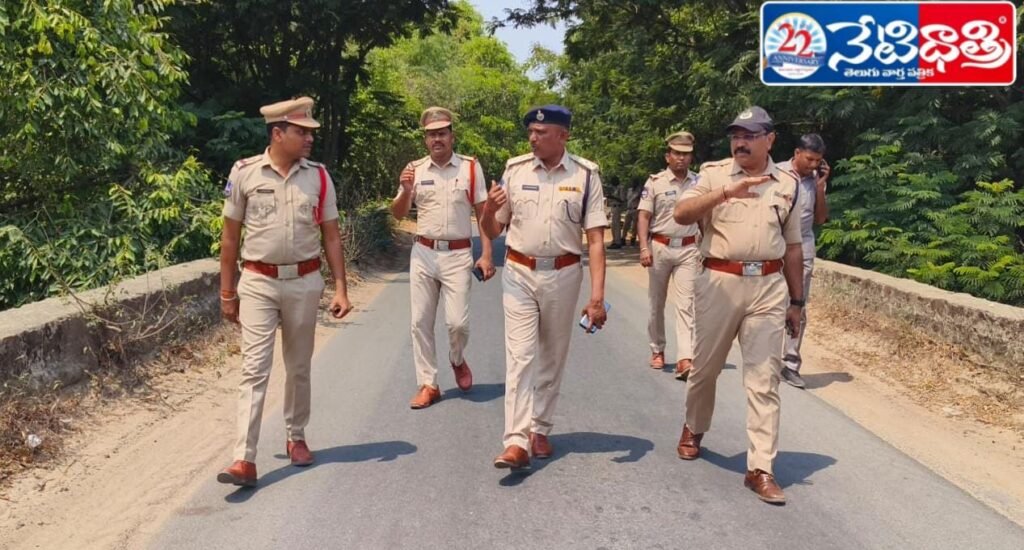 DCP Reviews Pushkar Traffic Arrangements
