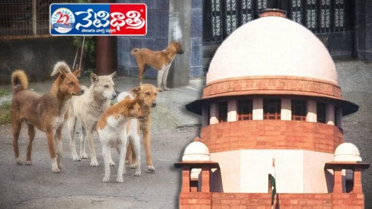 Supreme Court on Stray Dogs