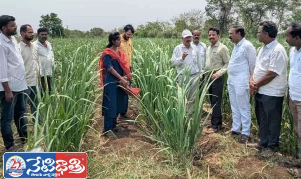 Soil Testing Guides Farmers