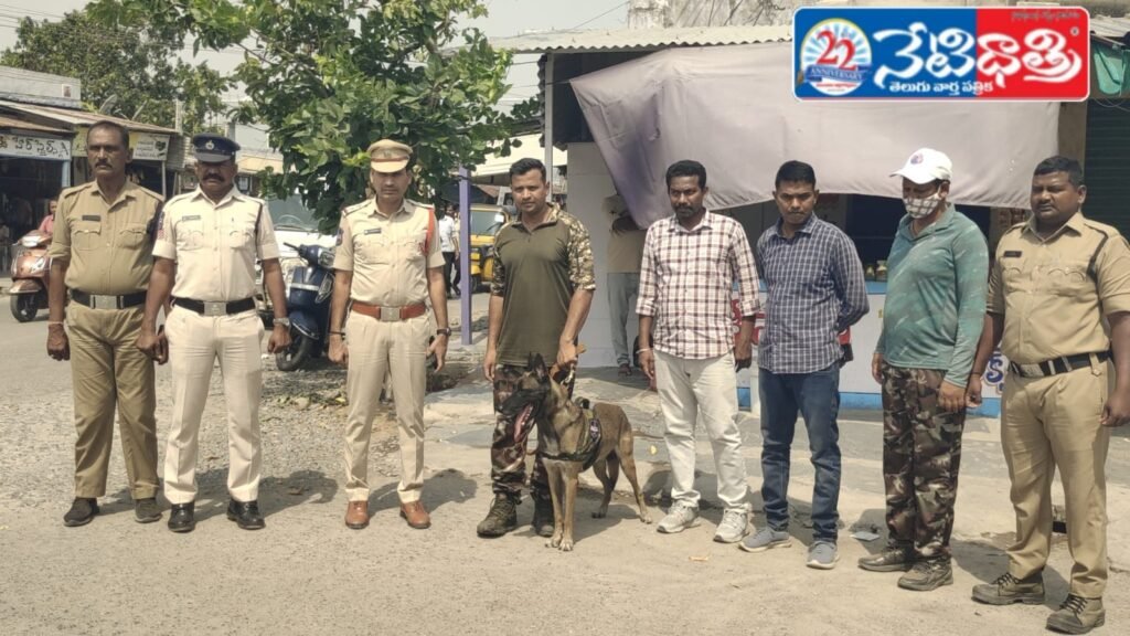 Strict Action Against Illegal Activities