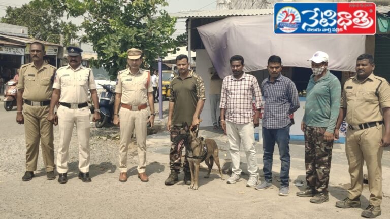 Strict Action Against Illegal Activities